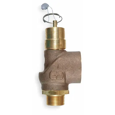 CONTROL DEVICES Air Safety Valve: Soft Seat, 1/2 in (M)NPT Inlet (In.) - Soft Seat Pneumatic Safety Valves