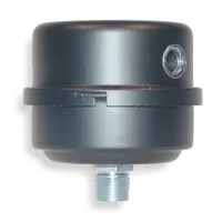 SOLBERG Filter Silencer: 1/2 in (M)NPT Inlet Size, 12 cfm, 4.12 in Overall Ht, 4.12 in Outside Dia (MPN FS-10-050)
