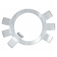 APPROVED VENDOR Star Washer: Star Washer, For Pallet Jacks, For 5LA79, Steel (MPN D126)