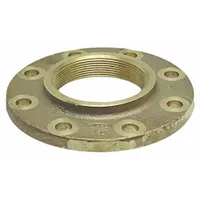 Cast bronze tube flange with FNPT x flange connection and integrated drain/vent. Designed for 2-1/2 in copper tube in plumbing and HVAC systems, allowing system drainage or air release