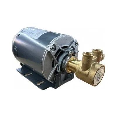 FLUID-O-TECH Rotary Vane Pump: Direct Drive, 1/3 hp, 115/230V AC, Brass Body - Brass Body Rotary Vane Pumps
