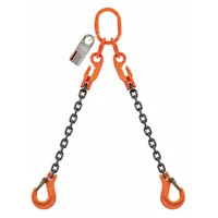 PEWAG Chain Sling: 3/8 in Chain Trade Size, 100 Chain Grade, Sling Hook, Steel, Adj, 5 ft Sling Lg (MPN 10G100DOSXK/5)
