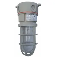 KILLARK Incandescent Light Fixture: 2,087 lm, T2B Temp Code, 150 W, 120/277V AC, Ceiling Mount (MPN NV2IG15XSG)