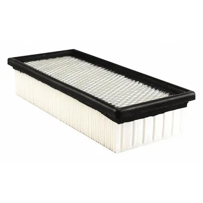 BALDWIN FILTERS PA5774 Panel Cabin Air Filter - Panel Cabin Air Filters