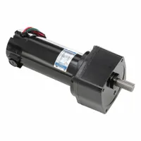 LEESON Parallel Shaft Gearmotors: Parallel, 12V DC, TENV, 62 RPM, 220 in-lb Max Torque, 43:1, 21 A (MPN M1135245.00)