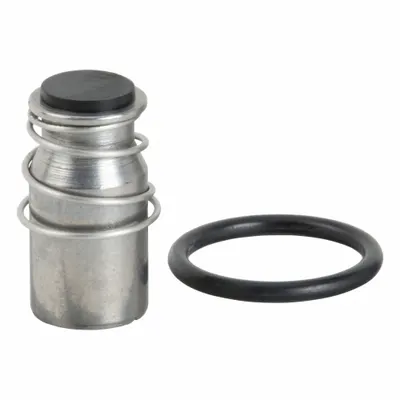 BUNN Solenoid Valve Repair Kit: 01111.0002 - Bunn Replacement Parts