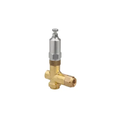 Pratissoli PRESSURE REGULATOR BH210 - Valves