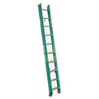 WERNER Extension Ladder: 20 ft Ladder Size, Fiberglass, 225 lb Load Capacity, 33 lb Wt, 2 Sections (MPN D5920-2)