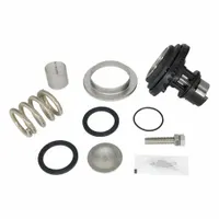 WILKINS Valve Repair Kit: EPDM/Resin/Rubber/Stainless Steel, Mfr Part # RK112-600XL3