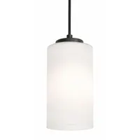 AFX INC. Decorative Pendant: 4 in Dia, 6 1/2 in Ht, Black, 60 W, 120V AC, Dimmable (MPN LEOP04MBBK)