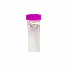 Staining jar for cytology applications, made of polypropylene copolymer. Dimensions: 98 mm height, 30 mm width. Suitable for holding slides during staining procedures in laboratory settings.
