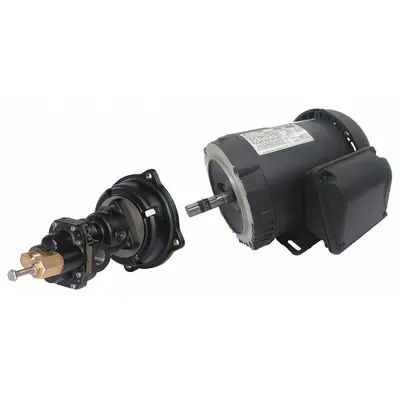 Dayton Rotary Gear Pump: Direct Drive, 1 1/2 hp Horsepower, 230/460V AC, Cast Iron Body - Direct-Drive Rotary Gear Pumps