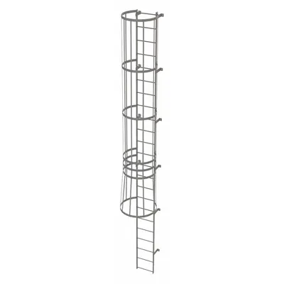 TRI-ARC Fixed Ladder with Safety Cage: 22 ft Overall Ht, 18 in Overall Wd, Steel - Safety Cage Fixed Ladders