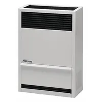 WILLIAMS COMFORT PRODUCTS Surface-Mount Gas Wall Heater: Natural Gas, Gravity Convection (MPN 1403822)
