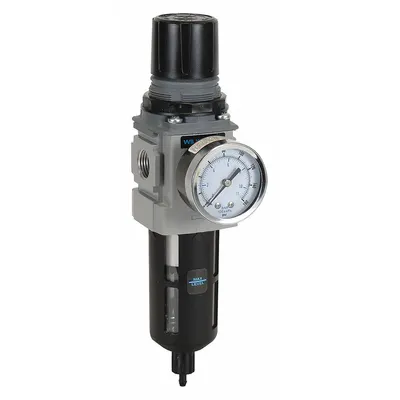 WILKERSON Filter-Regulator: B18 Series, 3/8 in NPT, 158 cfm, 5 micron, 0 psi to 125 psi - Wilkerson FRL Air Filter/Regulators