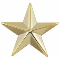 HEROS PRIDE Metal Rank Insignia: Star, 5/8 in, Gold, Metal, Clutch Pin, Rank Insignia, 1 PR (MPN 4490G)