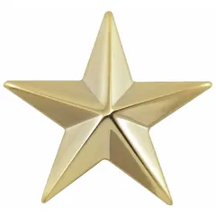 This metallic insignia features a gold star design, measuring 5/8 in, and is constructed from metal. It attaches via a clutch pin for secure fastening to fabric. Commonly used on military, law enforcement, or ceremonial uniforms to denote rank.