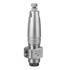 R1X/200 VALVE