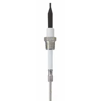 LUMENITE Liquid Level Probe: 2 Probes, NPT, 3/4 in Process Connection Size, 12 in Probe Lg (MPN PHST34Q12"UJ)