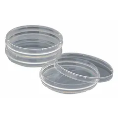Polystyrene petri dish with tissue culture treated surface for cell adhesion and growth. Includes grip ring for easy handling. Sterile, 100 mm diameter, 20 mm height. Suitable for cell culture and microbiological applications.