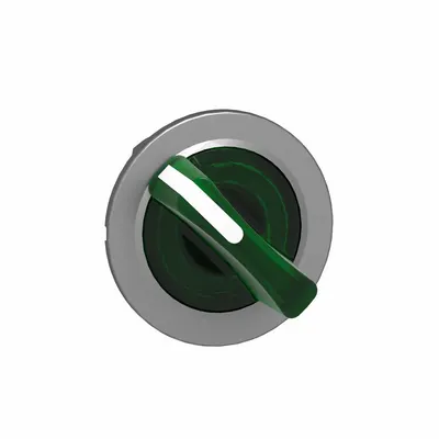 SCHNEIDER Short-Handled Selector Switch: 30 mm Panel Mount Size, 2 Positions - Illuminated Selector-Switch Operators