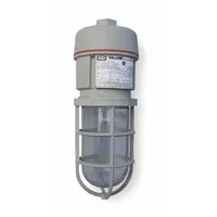 KILLARK Incandescent Light Fixture: 2,087 lm, T2B Temp Code, 150 W, 120/277V AC, Suspended Mount (MPN NV2IG15ASG)