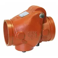 GRUVLOK Check Valve: Swing, Inline Valve Body, 2-Way, 2 1/2 in Pipe Size, Grooved End x Grooved End (MPN 2200750046)