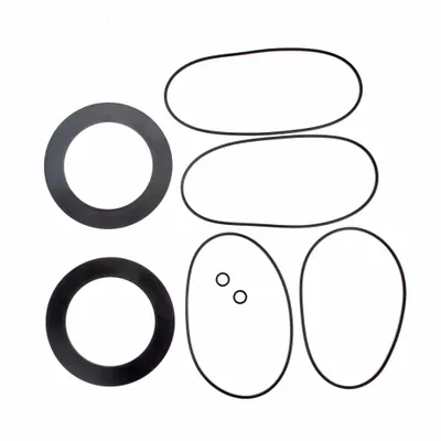 Watts RK 709-RT 8 Repair Kit for Series 709 Backflow Preventer, 8 in - Repair Kits & Parts for Watts Backflow Preventers