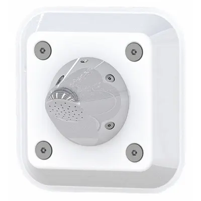 BESTCARE Fixed Showerhead: WH538, 2.5 gpm Fixed Showerhead Flow Rate, Brass/Stainless Steel - Replacement Shower Heads for Institutional Showers