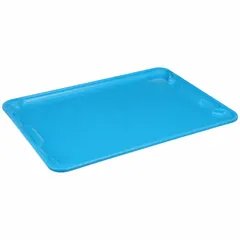 This blue fiberglass lid is designed for extreme-temperature stacking and nesting totes. It measures 25 1/4 in x 18 in and is manufactured by MOLDED FIBERGLASS (MPN 7806185268).