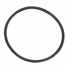 Replacement O-ring seal for hydraulic filtration systems. Prevents fluid leaks between mating components to maintain system pressure and contamination control. Suitable for use in industrial hydraulic power units, mobile equipment, and fluid-transfer systems.