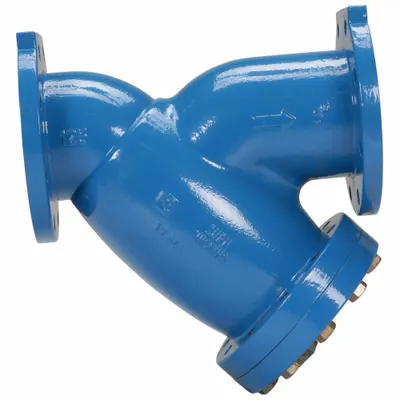 WILKINS 6-FSC Cast Iron Y Strainer - Cast Iron Y Strainers