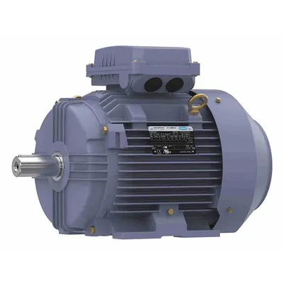 MARATHON MOTORS Metric Motor: 10 hp, Rigid Base Mount, 132S Frame Size - Rigid Base 3-Phase IEC Metric General Purpose AC Motors