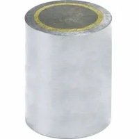 Alnico Magnet: Encased, 0.5 in Thick, 3/8 in Outside Dia, Round (MPN R375)