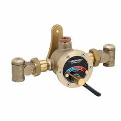Thermostatic mixing valve designed to blend steam and cold water media. Features NBR seal material and 3/4 in x 3/4 in connection size. Suitable for industrial process heating, washdown stations, and temperature control systems requiring precise steam-water mixing.