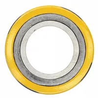 Spiral Wound Flange Gasket: Graphite Filler, 304 Stainless Steel Winding, For 3/4 in Pipe (MPN CGI)