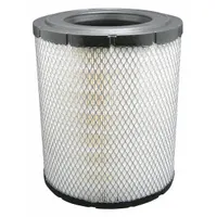 BALDWIN FILTERS Automotive Air Filter: Round-Oval, Engine, Round, Radial Seal, 11 3/8 in Overall Ht (MPN RS5434)
