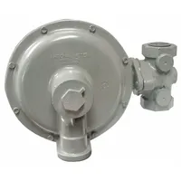 ITRON Portable Gas Heater Gas Pressure Regulator: Portable Gas Torpedo Heaters, 60 psi Max Pressure (MPN B42R)