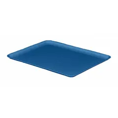 This blue fiberglass lid is designed for extreme-temperature stacking and nesting totes. It measures 12 3/8 x 9 3/4 inches and is compatible with tote models 1NTR2, 1NTR3, 8AU04, 8AU05, and 9GAC2. Suitable for covering and protecting contents in industrial environments requiring heat resistance.