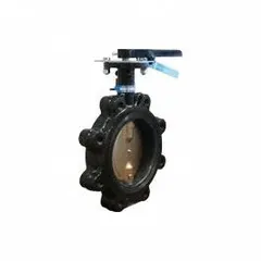 This 3-inch cast iron butterfly valve features a concentric lug-style body with a CF8M stainless steel disc and PTFE seat. Rated for 200 psi CWP, it is operated by a lever handle. Suitable for on/off flow control in general-service industrial piping systems handling water, air, and non-corrosive fluids.
