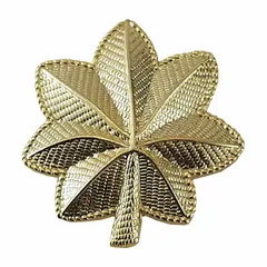This metallic insignia features a leaf design in gold finish, measuring 1 inch. Constructed from metal, it attaches via a pin and safety catch. Typically used on uniforms to denote rank or affiliation in military, law enforcement, or ceremonial contexts.
