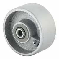 ALBION Caster Wheel: 4 in Wheel Dia., 2 in Wheel Wd, Iron, 1,000 lb Load Rating, 2 3/16 in Hub Lg (MPN CA0420112)