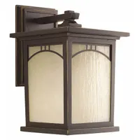 Wall Lantern: Incandescent, 100 W, 120V AC, 12 1/4 in Overall Ht, Aluminum Housing Material (MPN P6053-20)