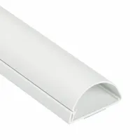 Raceway: Maxi, 2 in Wd, 1 in Ht, 60 in Lg, Plastic, White (MPN US/5FT5025W/GR)