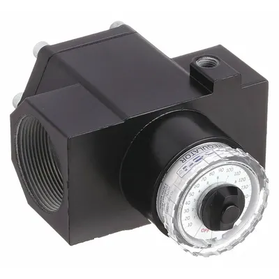 WILKERSON Dial Compressed Air Regulator: Zinc, 2 in NPT, 1,600 scfm, 300 psig Max Op Pressure - Wilkerson FRL Air Regulators