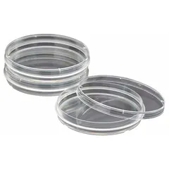 Round petri dish made of clear polystyrene, sterile, with no surface treatment. Measures 150 mm in diameter and 20 mm in overall height. Designed for general laboratory use in culturing and observing microorganisms.