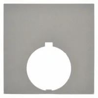 Legend Plate: 30 mm Panel Mounting Size, Square, 2 5/16 in Overall Ht x 2 5/16 in Overall Wd (MPN 10250TEP76)