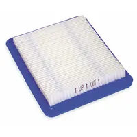 BRIGGS & STRATTON Air Filter Cartridge: 5043K