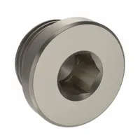 LEGRIS Plug: Hex Drive Cored Plug, 3/8 in, BSPP Threaded, Nickel-Plated Brass, 870 psi, 1/2 in Lg (MPN 0919 00 17)