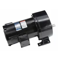 LEESON Parallel Shaft Gearmotors: Parallel, 90V DC, TENV, 60 RPM, 238 in-lb Max Torque, 29:1, 2.7 A (MPN 108704.00)
